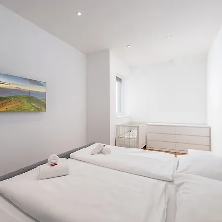 Cityflat 38 - By Mynests Apartment Schladming